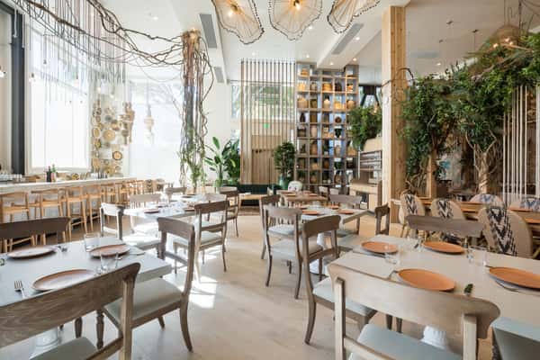 Bright upscale restaurant interior with modern seating, hanging greenery, and elegant tropical-inspired decor