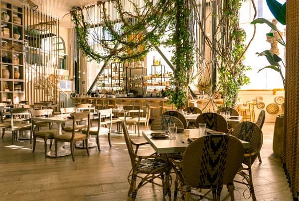 Lush tropical restaurant interior with hanging greenery and elegant modern dining design
