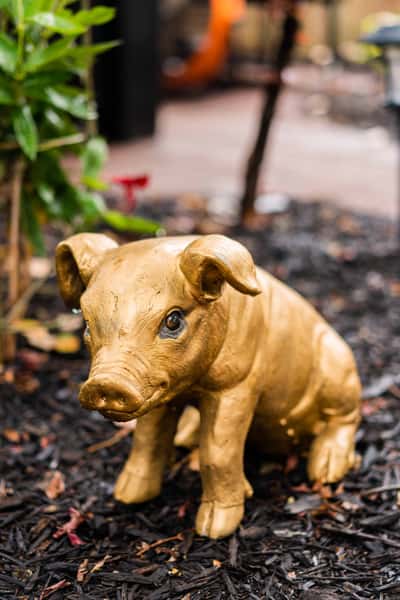 pig statue