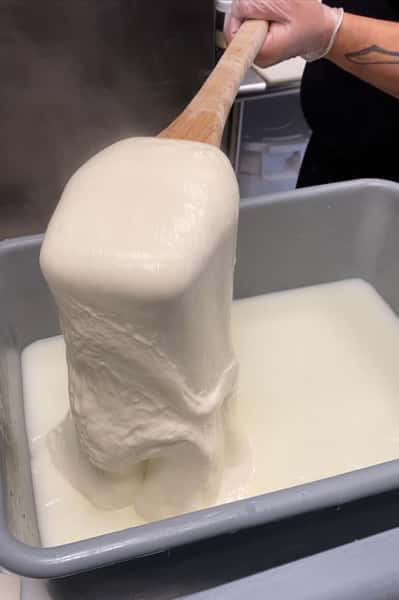 Making Mozzarella
