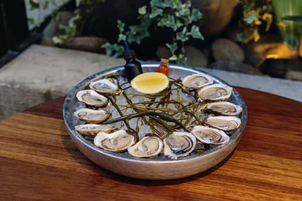 Oysters