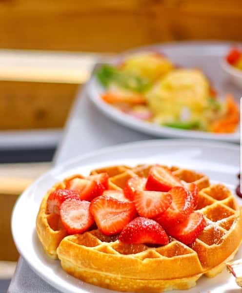 Plain Belgian Waffle