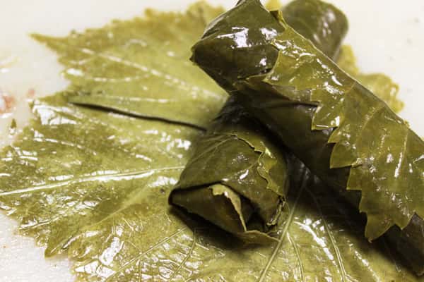 Grape Leaves