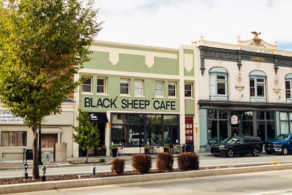 Black SHeep Provo
