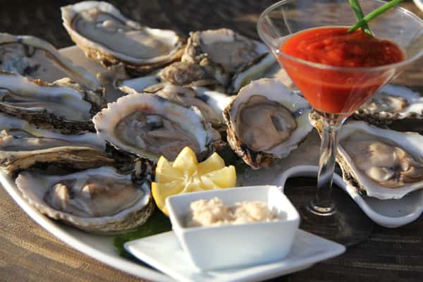 Oysters