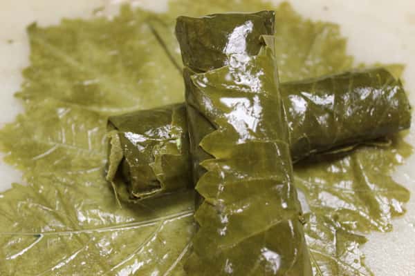 Stuffed grape leaves wrapped in tender vine leaves.