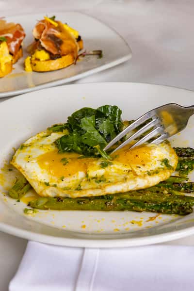 Egg