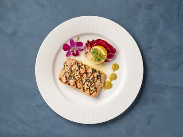 Salmon