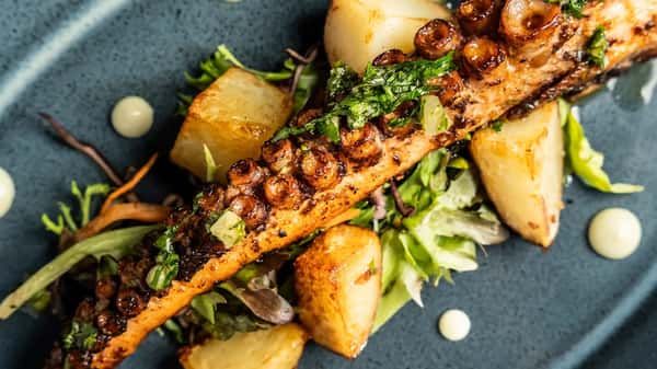 grilled octopus