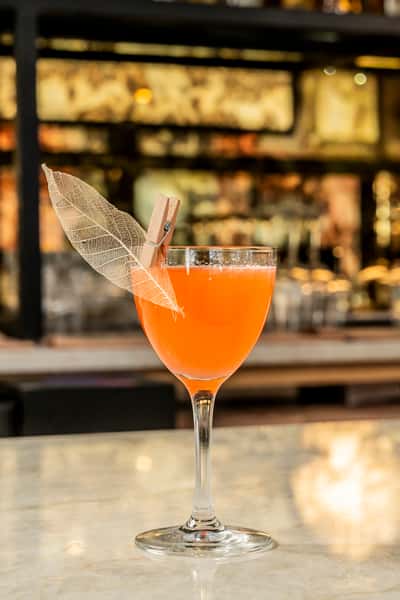 Cocktails Photos