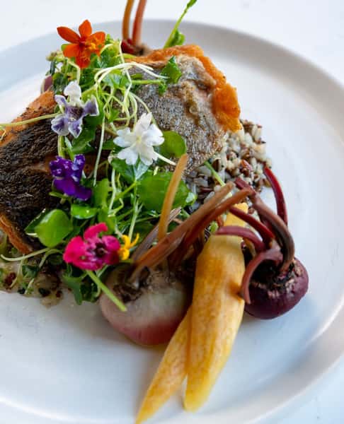 Seafood dish with a floral garnish