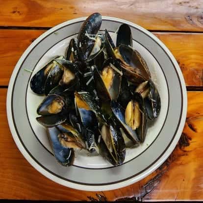 oyster