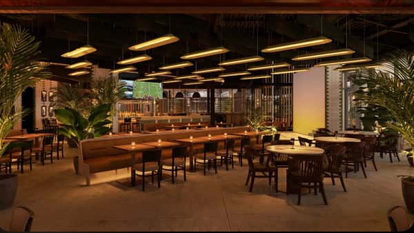 interior shot with green plant