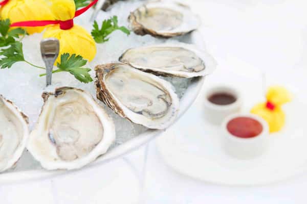 Oysters*