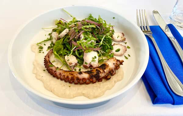 Charred Octopus