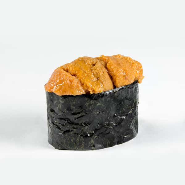 Hokkaido Uni