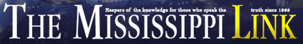the ms link logo