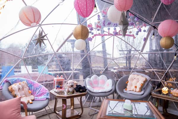 igloo