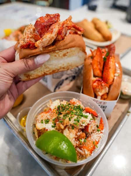 It's our favorite day @docklocal! Happy National Lobster Day 🦞 Stop by any location and celebrate with lobster straight off the coast ⚓️