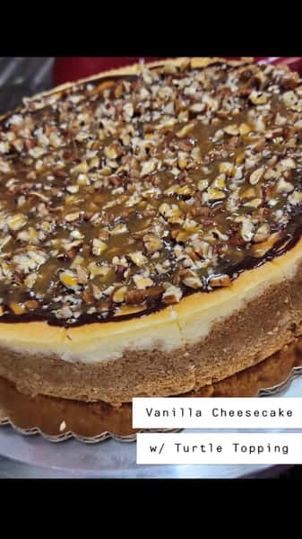 Classic Vanilla Cheesecake Slice w/ Turtle Topping
