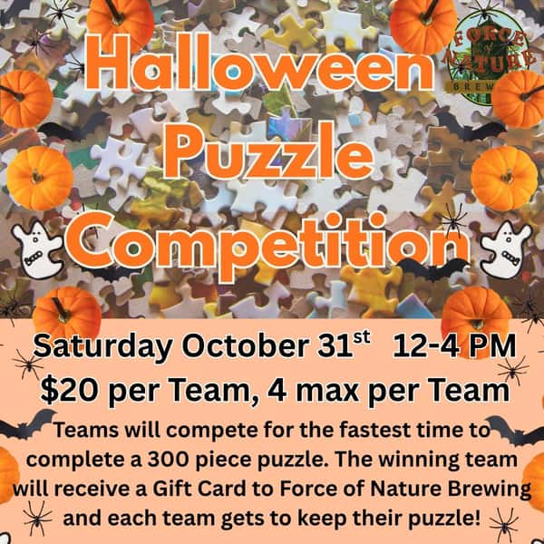 Puzzle Competition Team Ticket