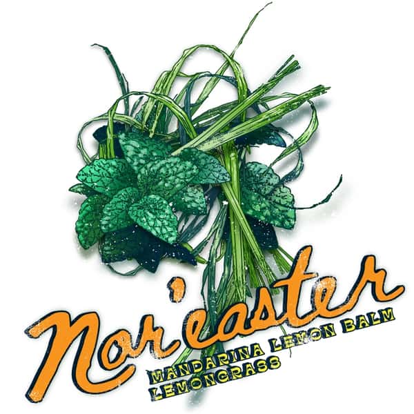 Nor'easter - Hazy IPA