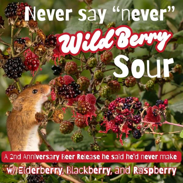 Never Say Never - Wild Berry Sour