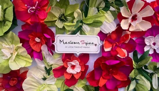 Custom Backdrop