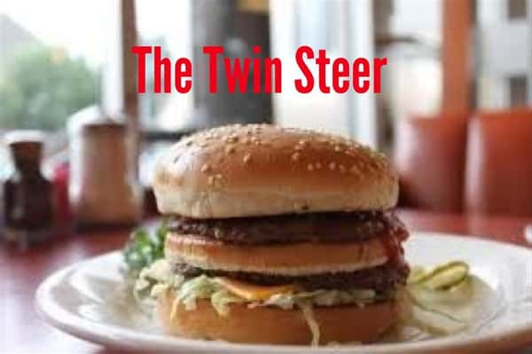 The Twin Steer