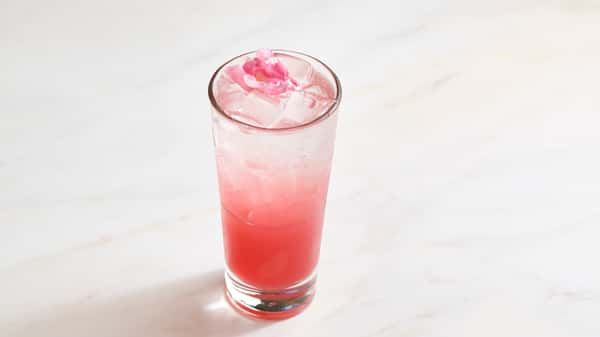 Rose Bud