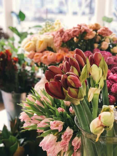 stock photo of flowers