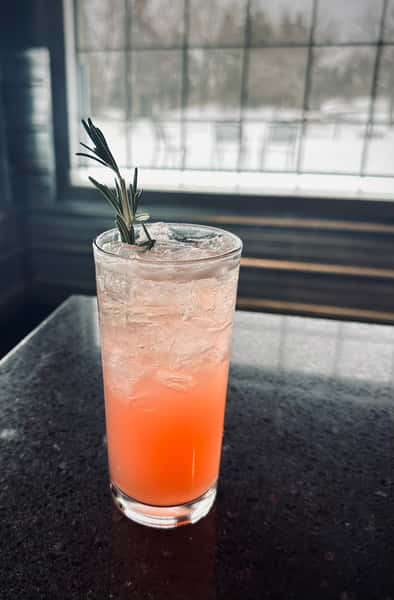 Winter Paloma