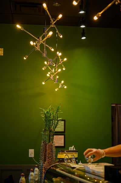 artistic chandelier with bamboo plant