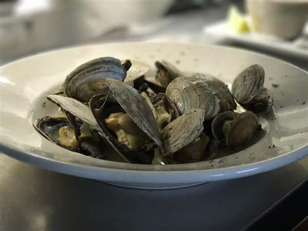 steamed clams in bowl