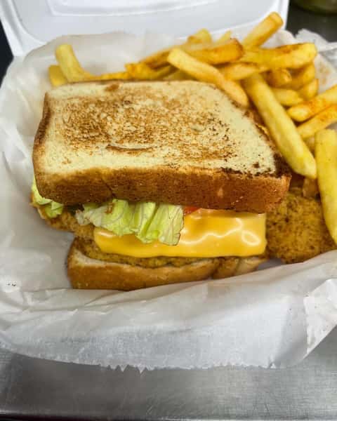Toasted sandwich with fries