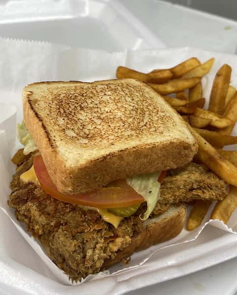 Toasted sandwich with fries