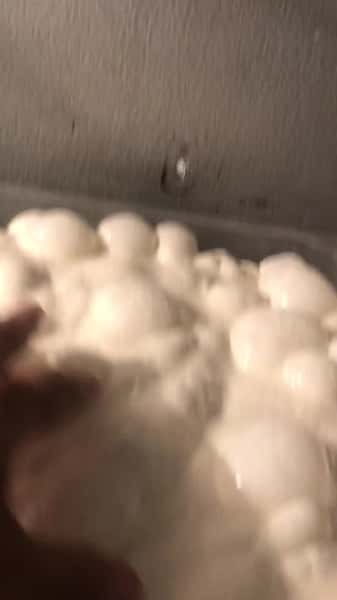 Hand going into the bulk ferment, four-day sourdough at Teglia Pizza Bar in Montclair NJ