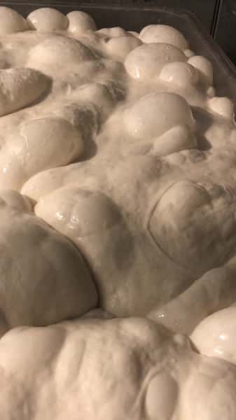 Tubs of four-day sourdough at full bulk ferment at Teglia Pizza Bar in Montclair NJ