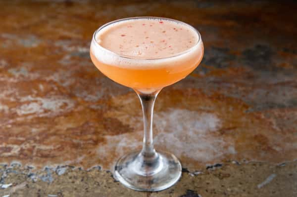 Pink Paloma