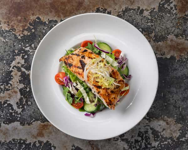 Salmon