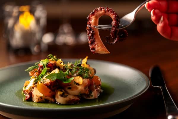 Chef plating grilled octopus with herbs and vegetables, highlighting an elegant seafood appetizer.