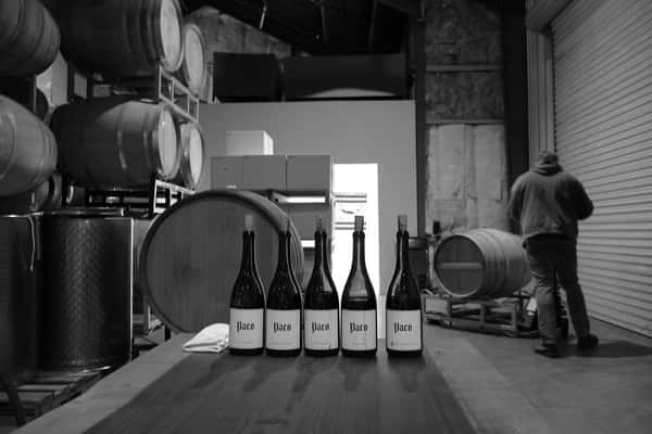 Bottles of Paco wine lined up in a barrel cellar