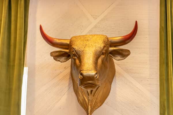 Bull decor