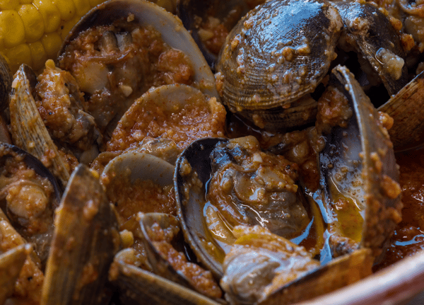 Clams