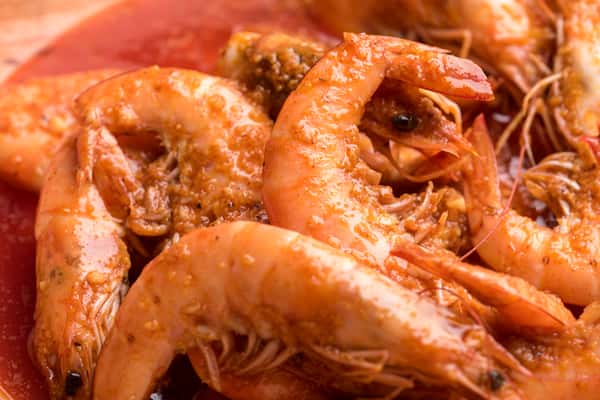 Shrimp