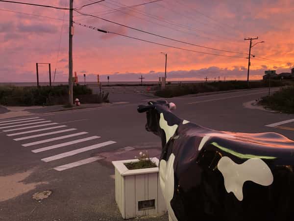 sunset