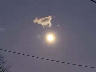 cow jumped over the moon