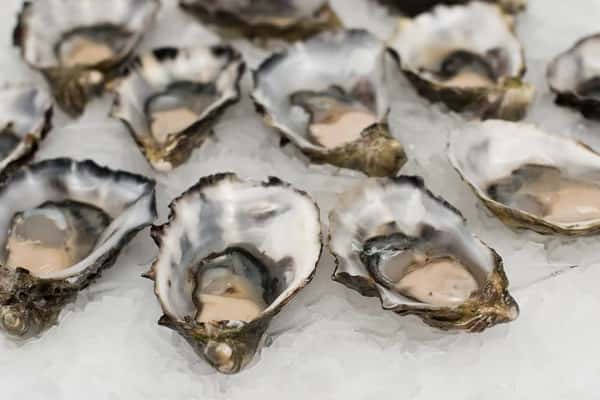 1/2 Priced Oysters
