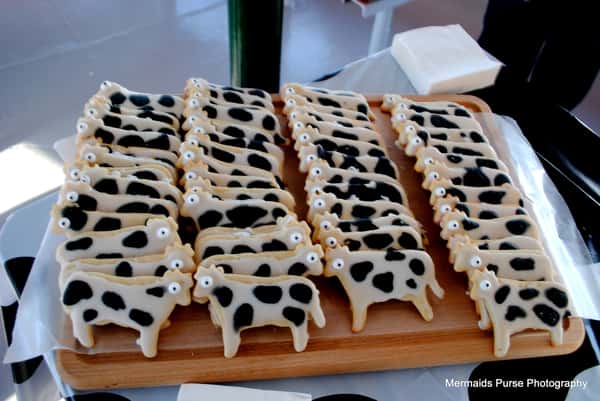 cow cookie