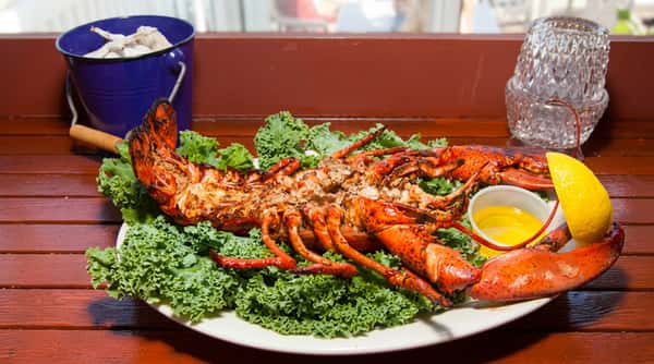 A beautifully plated whole lobster rests on a bed of fresh greens, seasoned and garnished for a rich, coastal presentation. A side of melted butter and lemon completes this classic seafood dish.